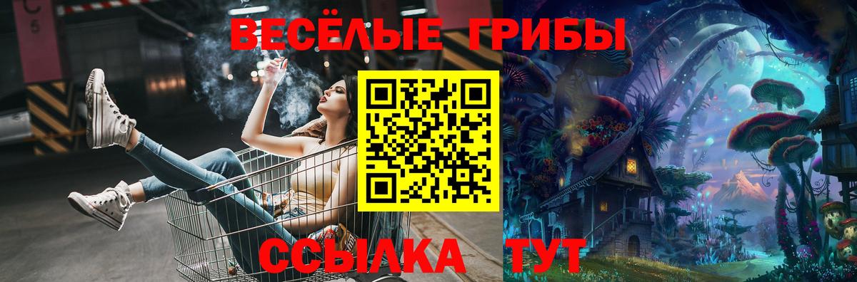 Галлюциногенные грибы Psilocybe  Вход с VPN  Партизанск 