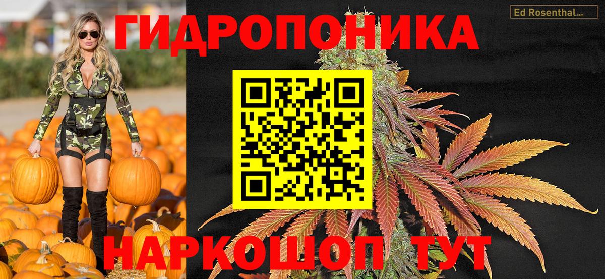 Партизанск  Конопля THC 21%  Вход с VPN  Канабис марихуана  МАРИХУАНА план 